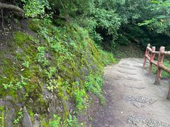 -玉渡山自然风景区