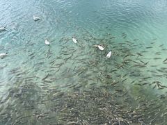 -青海湖二郎剑景区