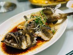 清蒸老虎斑-御彩酒家(东风东路店)