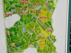 -光明小镇欢乐田园