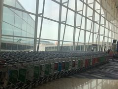-香港国际机场-T2航站楼