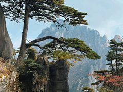 -黄山风景区