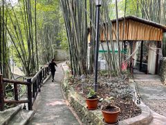 -竹海听涛生态山庄