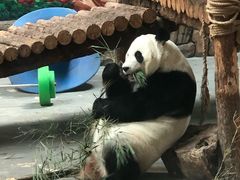 -青藏高原野生动物园