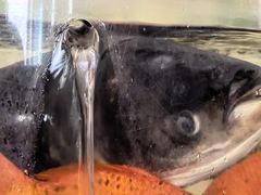 -海景壹号大酒店(滨湖店)