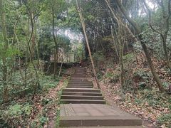 -凤栖山