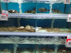 -盒马鲜生(大行宫店)