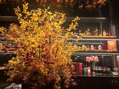 -秀儿四九城·新京菜(亚运村鸟巢店)