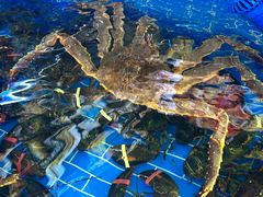 -醉壹号海鲜大排档(厦门美食地标店)