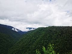 -凤凰山国家森林公园
