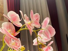 -俏江南天津时尚曲艺主题餐厅(马场道店)