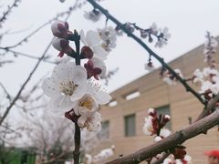 -汉长安城未央宫国家考古遗址公园