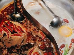 -辣伍鲜毛肚老火锅(元一店)