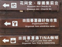 -田园东方蜜桃村的田野营地