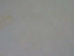 iphone_upload_pic-四海宴骨头王(恒基乐园店)