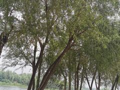 -门城湖公园