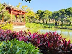 -乌山风景区
