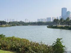 -万绿园