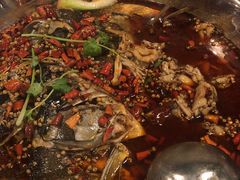 味之绝美蛙-味之绝热血美蛙鱼火锅(中坝店)