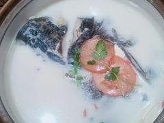 -全乐鱼馆·淳牌有机鱼直营店