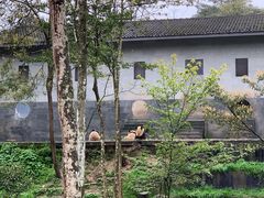 -碧峰峡风景区