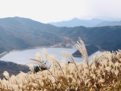 -浙西天池景区