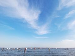 -碧海金沙