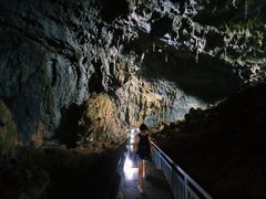 -百色大石围天坑群