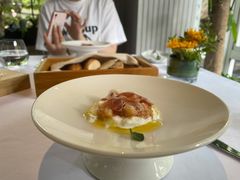 -蝶舍·MAISON PAPILLON