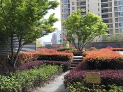 -苏州馨乐庭金鸡湖公寓酒店