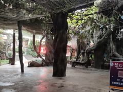 -横店影视城梦幻谷园区