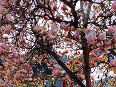 -西安市广仁寺