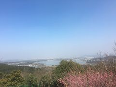 -香雪海