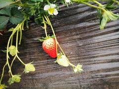 -夜半不二海鲜炭烤(文汇巷店)