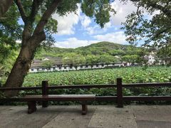 -普陀山风景名胜区-法雨禅寺