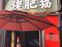 -佬肥猫(七宝宝龙店)