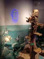 点击看大图 -未来动物城动物主题公园(大悦城店)
