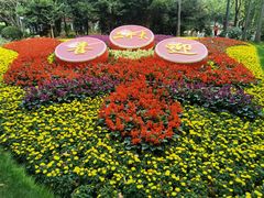 -上海共青森林公园