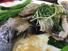 -勒南公舍(龙江店)
