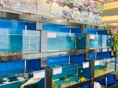 -华盛丰温州大排档(东三环南路店)