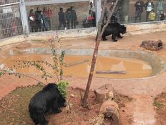 -昆明动物园