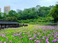 -龙头寺公园