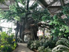 -鄂尔多斯野生动物园