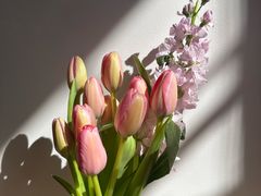 -循礼门鲜花花市(武汉循礼门店)