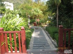 -三亚亚龙湾凯莱仙人掌度假酒店