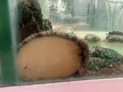 -拾贝海鲜馆（海鲜粤菜）(花果园店)