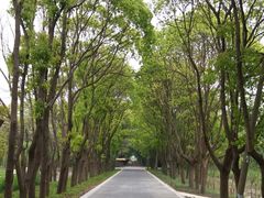 -同里国家湿地公园