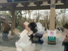 -西湖游船