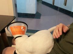 -Doors独立剧情密室(东门分店)