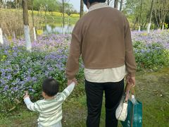 -瑶湖郊野森林公园